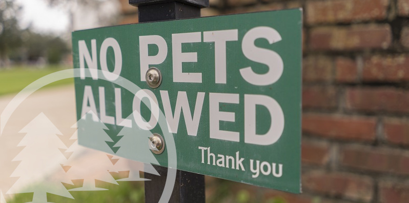 Are HOA Pet Restrictions Allowed? Cedar Management Group