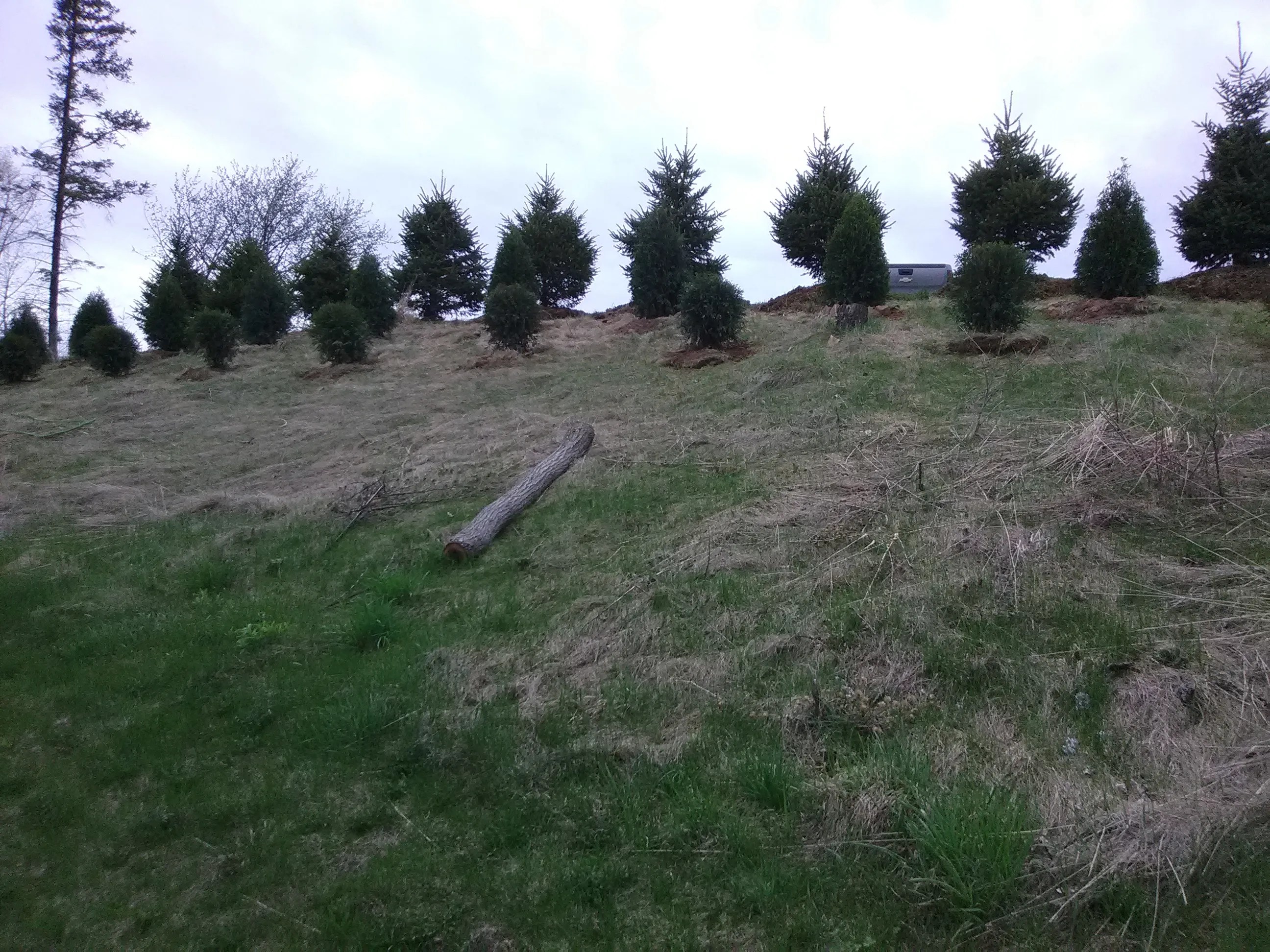 Cedar Valley Nursery Gallery