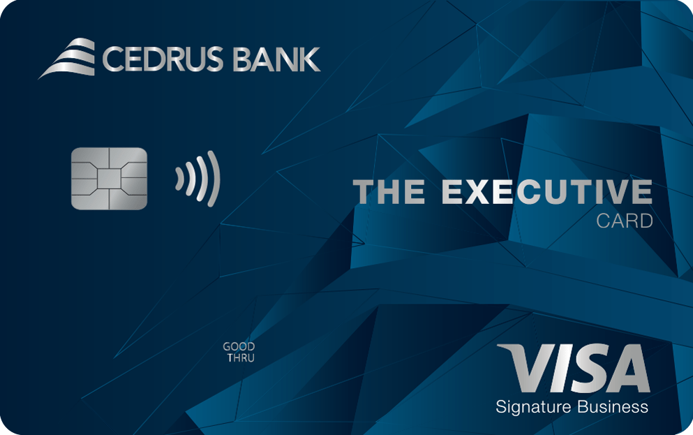 Visa Platinum Euro Card Lebanon, Visa Platinum Euro Card Benefits Lebanon