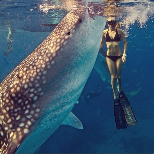 Ian Somerhalder's New Girlfriend Ocean Ramsey Gives Up