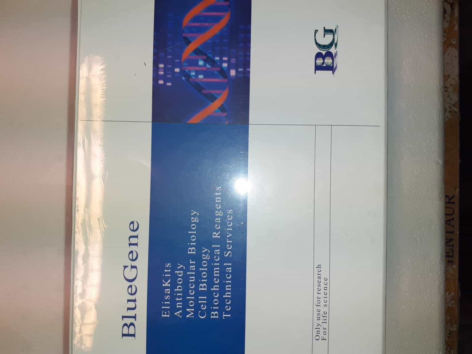 dna template strand read in what direction Cell and Gene Therapy