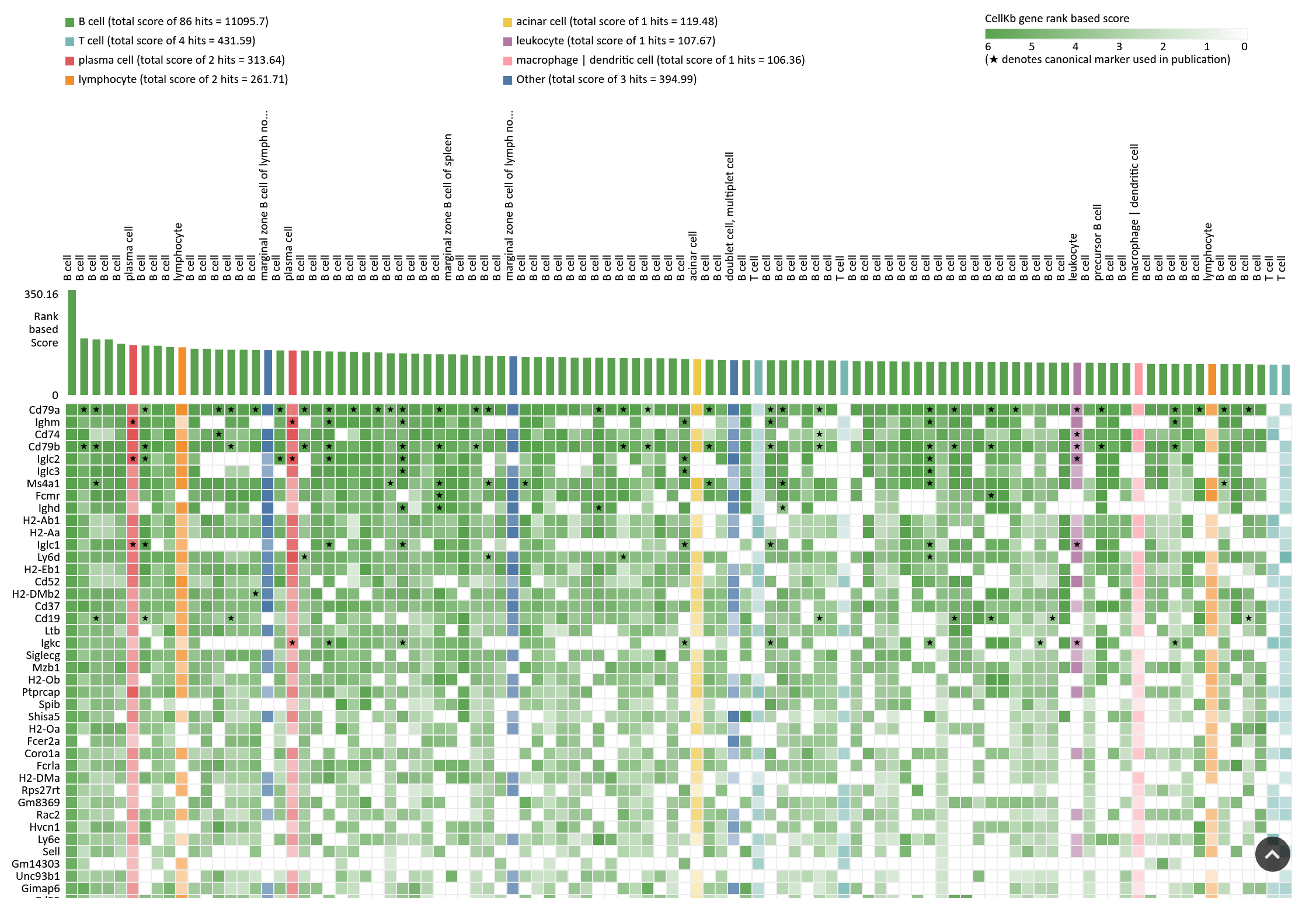 CellKb Immune Immune cell type markers