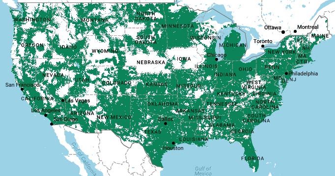 Cellular Comparison of the Top 5 Networks