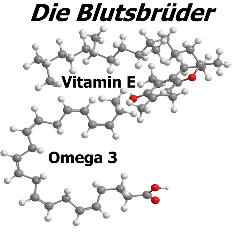 Das optimale Omega 6 zu Omega 3Verhältnis cellventrix