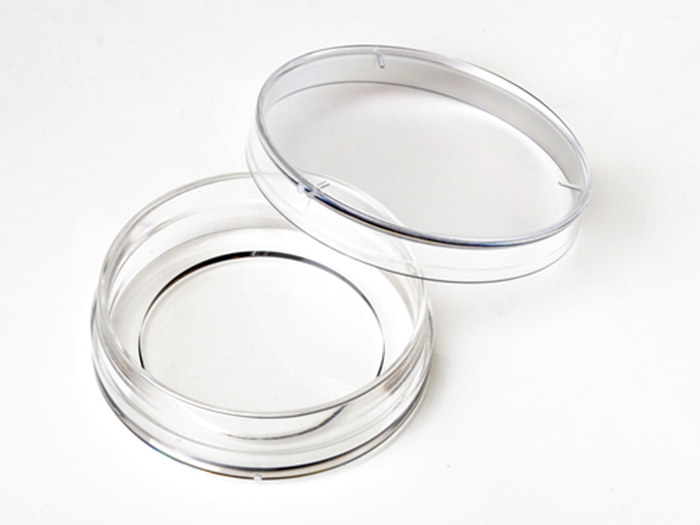 35 mm Glass bottom dish with 28 mm microwell 1.5 cover glass Cellvis