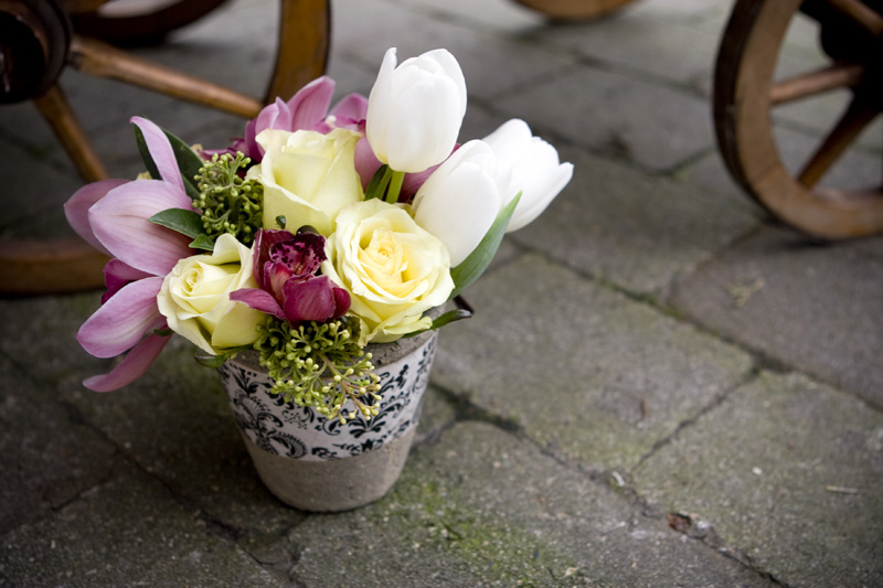 Vancouver Florist Vancouver Flowers by Celsia Florist Fresh