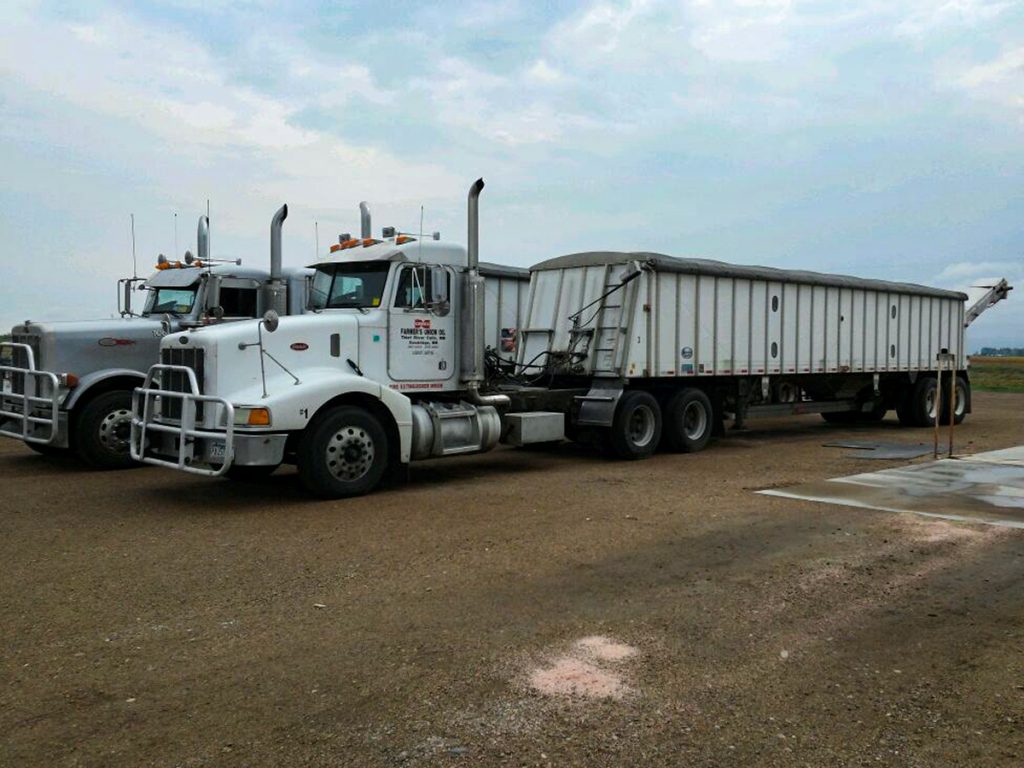 Fertilizer Cenex Thief River Falls and Goodridge, MN