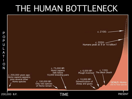 Deep Time, Big History, and Existential Risk