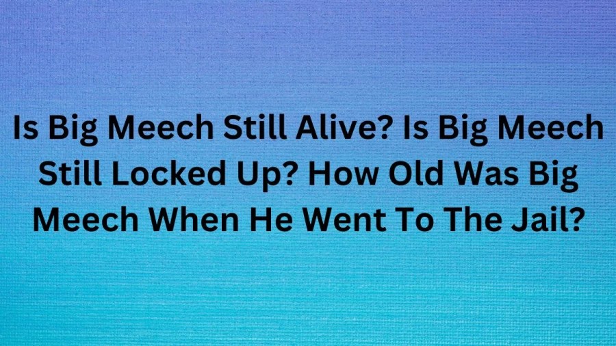 Is Big Meech Still Alive Is Big Meech Still Locked Up How Old Was Big - Mu Galde Koak