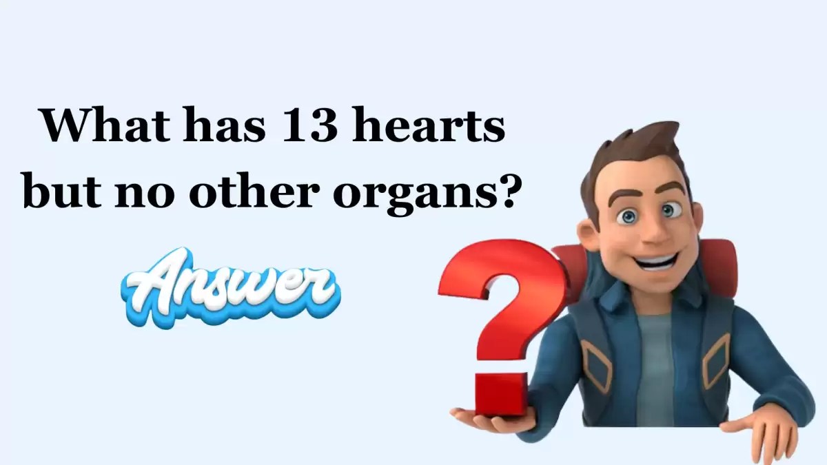 What has 13 hearts but no other organs? Riddle Answer Explained