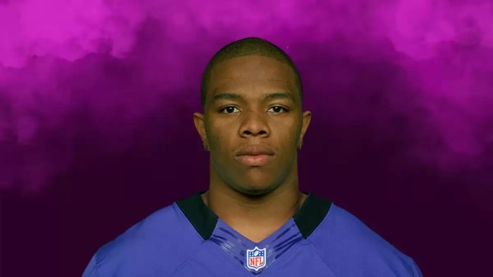 Ray rice net worth 2023