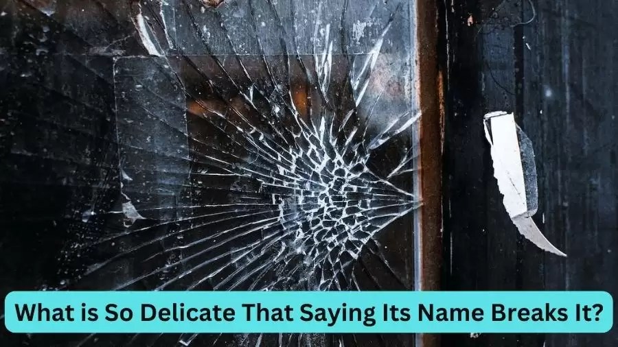 What Is So Delicate That Saying Its Name Breaks It Riddle Puzzling