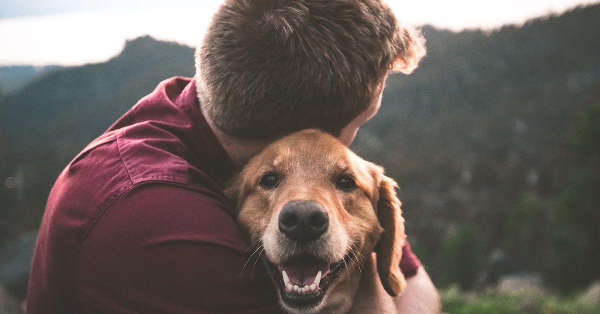 It’s National AdoptaDogMonth Central Bark USA