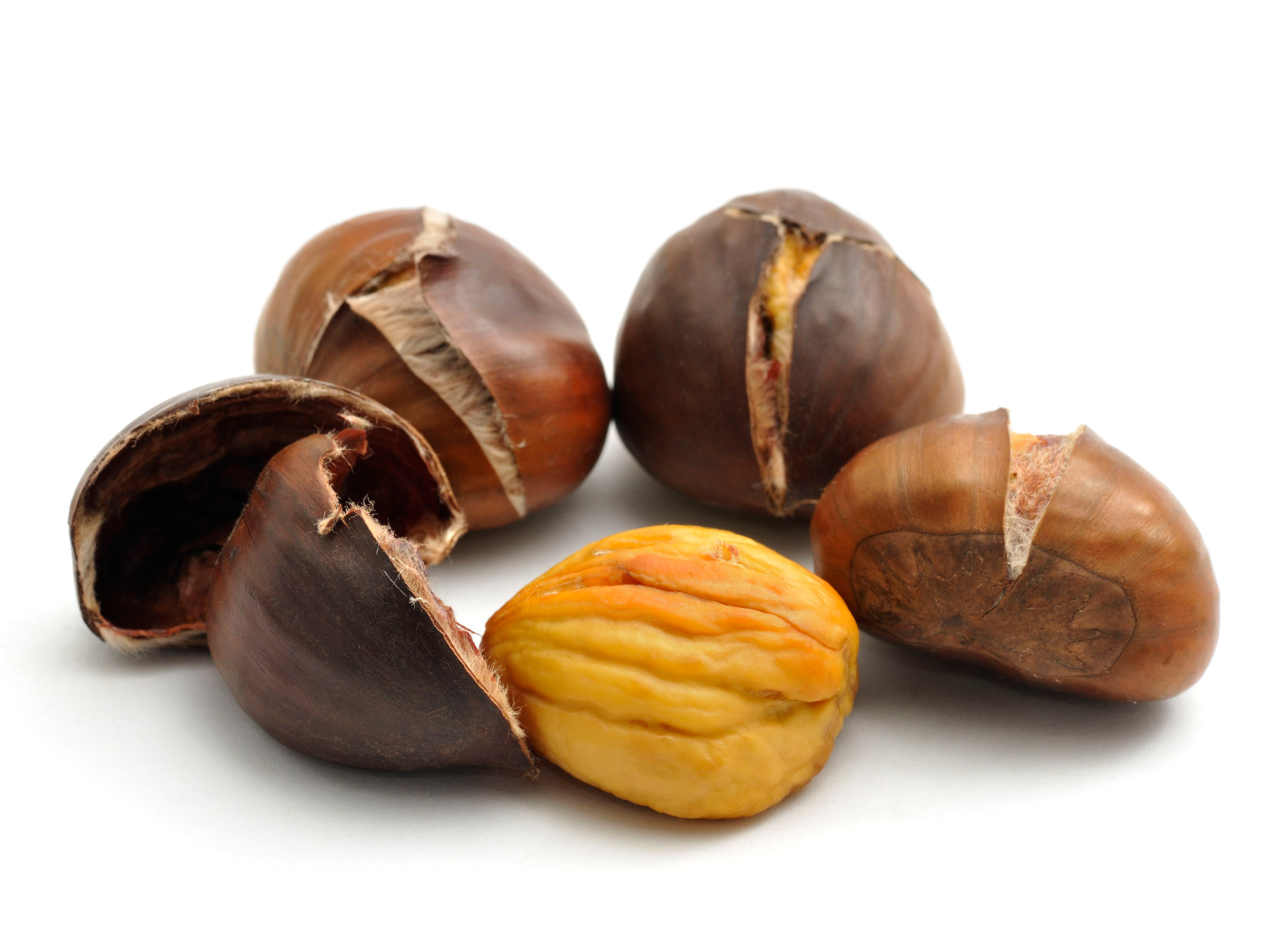 NUTRITION Food Galleria International selection of Nuts