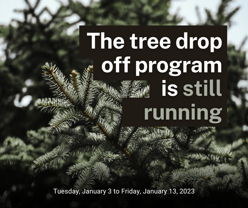 Tree Drop Off Program Available Municipality of Central Elgin