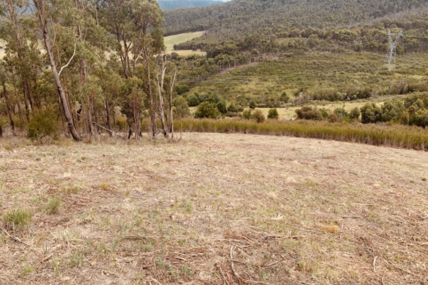 Fire Protection Fire Break Services Melbourne Central Land Clearing