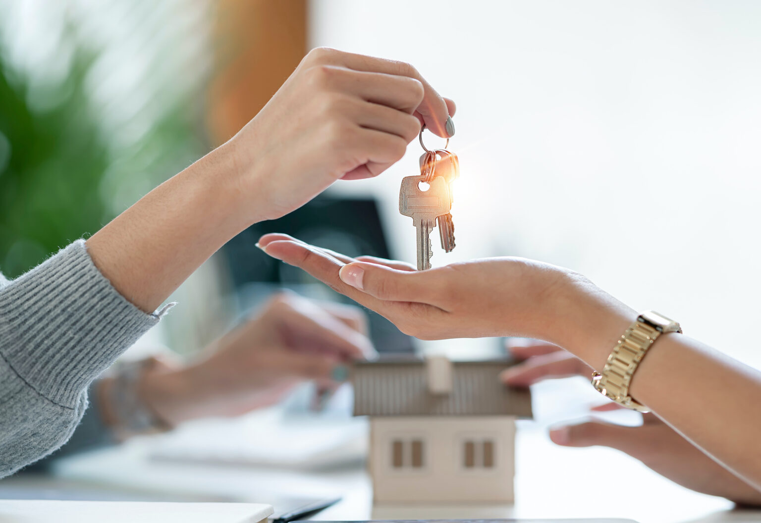 Guide to the Process of Exchange Day to Completion Day