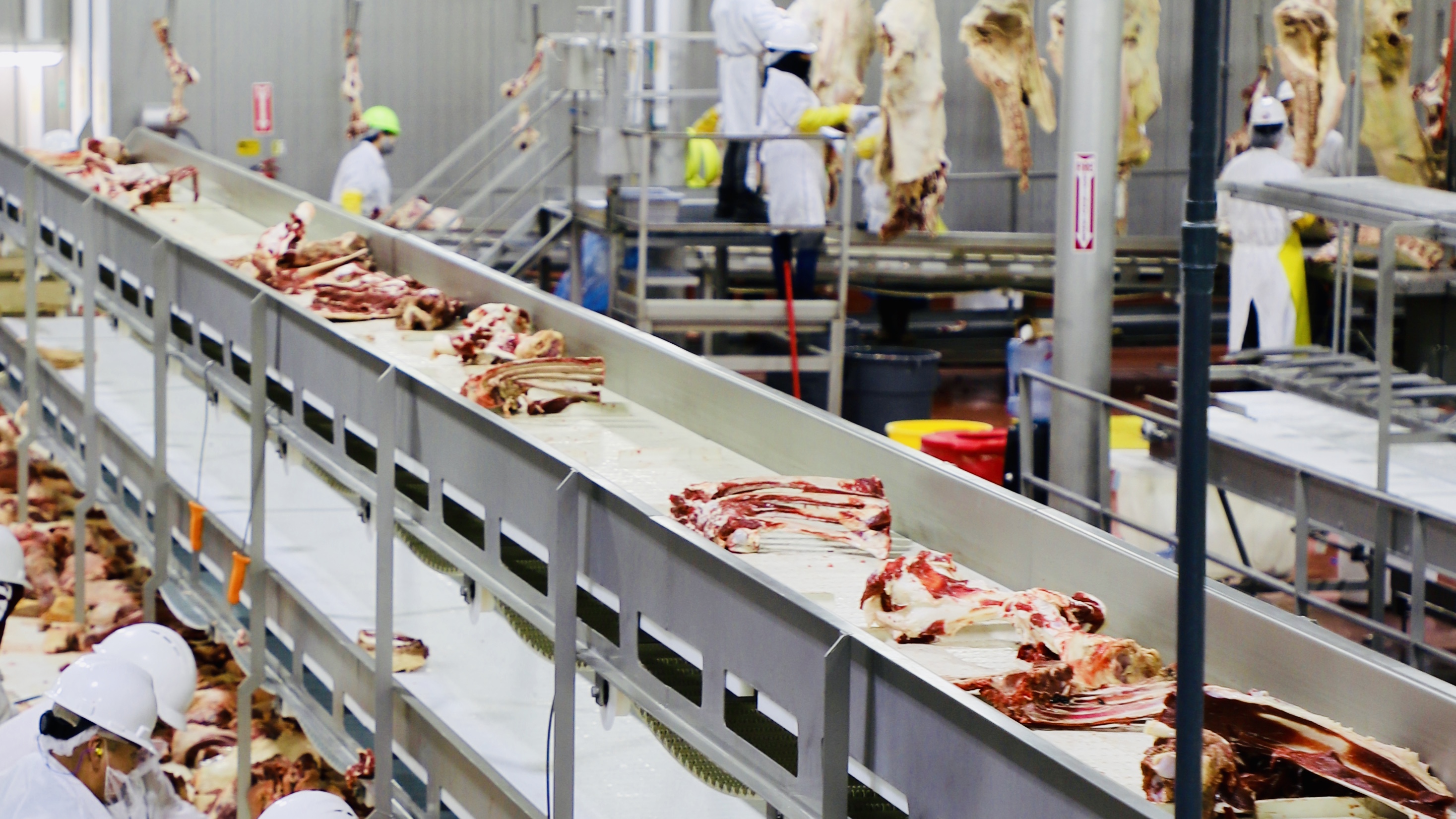 Careers at Central Valley Meat Central Valley MeatCentral Valley Meat