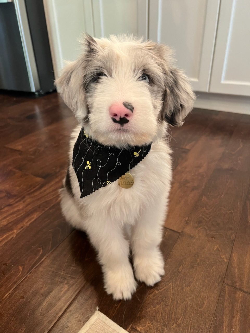 Crosby Central Veterinary Hospital