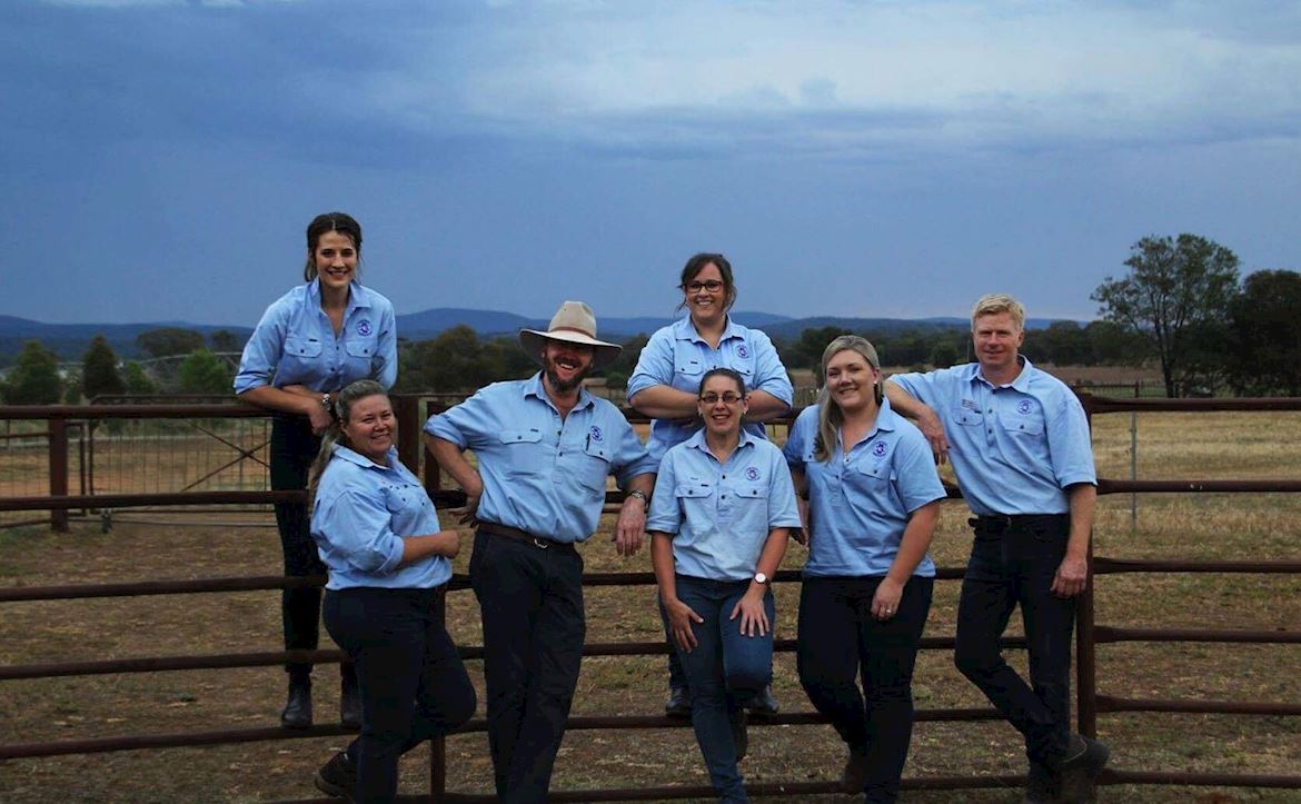 Central Veterinary Services