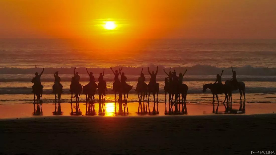 Cheval Sur La Plage Avec Coucher De Soleil Elliott's Blog