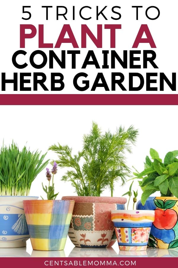 How to Plant a Container Herb Garden Centsable Momma