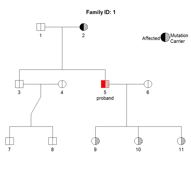 Type X Family pedigree image Cancer Epidemiology and Prevention Research
