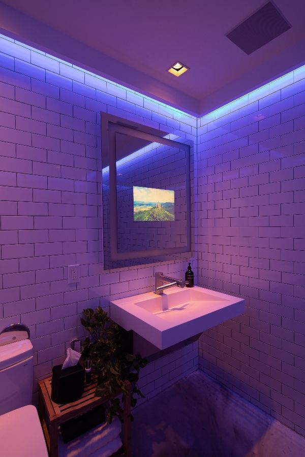 Really Cool Bathrooms