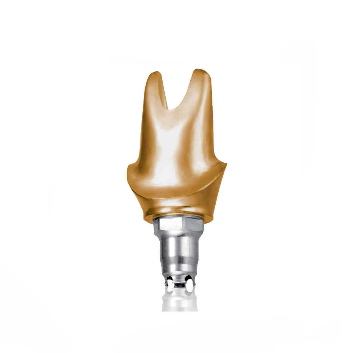 Implants Ceramics Dental Lab North Miami Beach