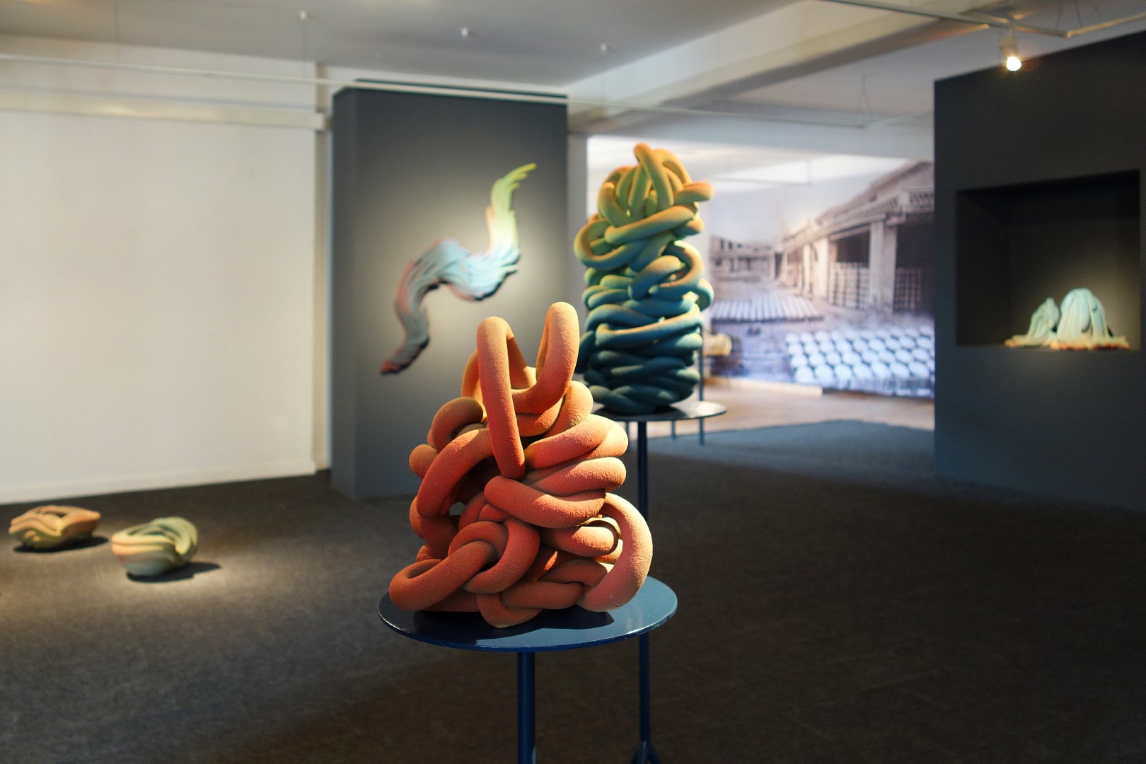 Claire Lindner Landscape within at Espace Grandjean École d'Art