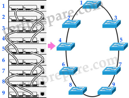 Diagram Of Switch Stack