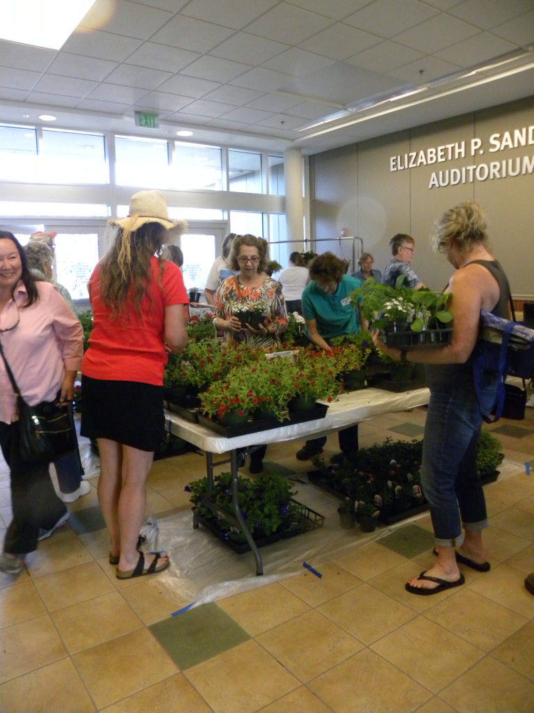 2017 Currituck Home, Flower, and Garden Show a Success North Carolina