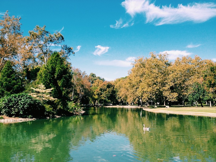 Postcard from William Land Park, Sacramento C'est Christine