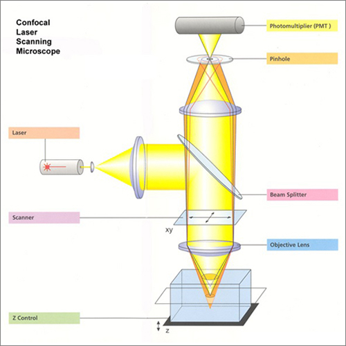 Confocal Laser Scanning Microscope (CLSM) CET Scientific Services Pte Ltd