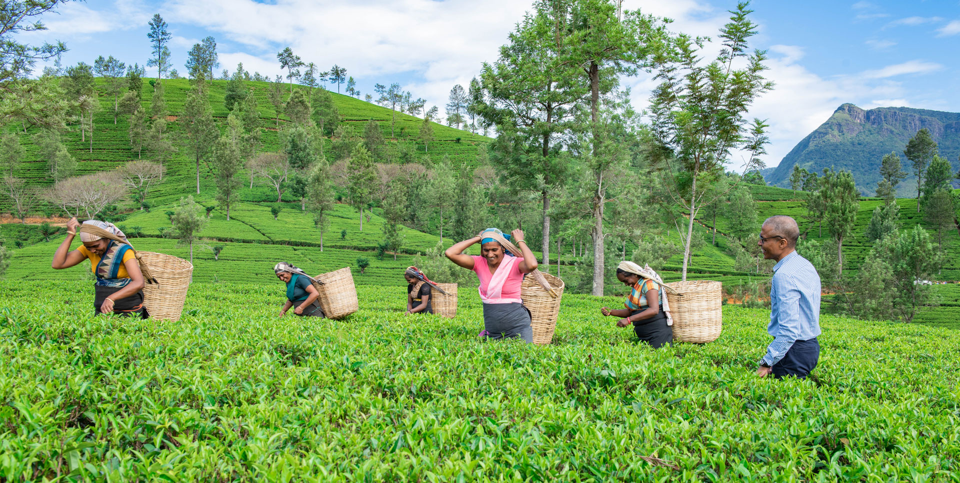 Pvc Pipe Brands In Sri Lanka Design Talk