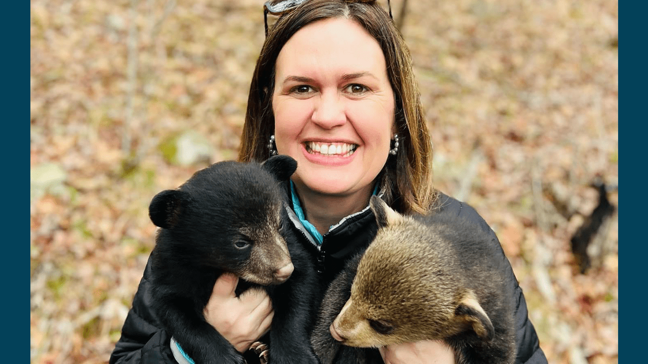 Governor Huckabee Sanders holds bear cubs, wants to bolster outdoor