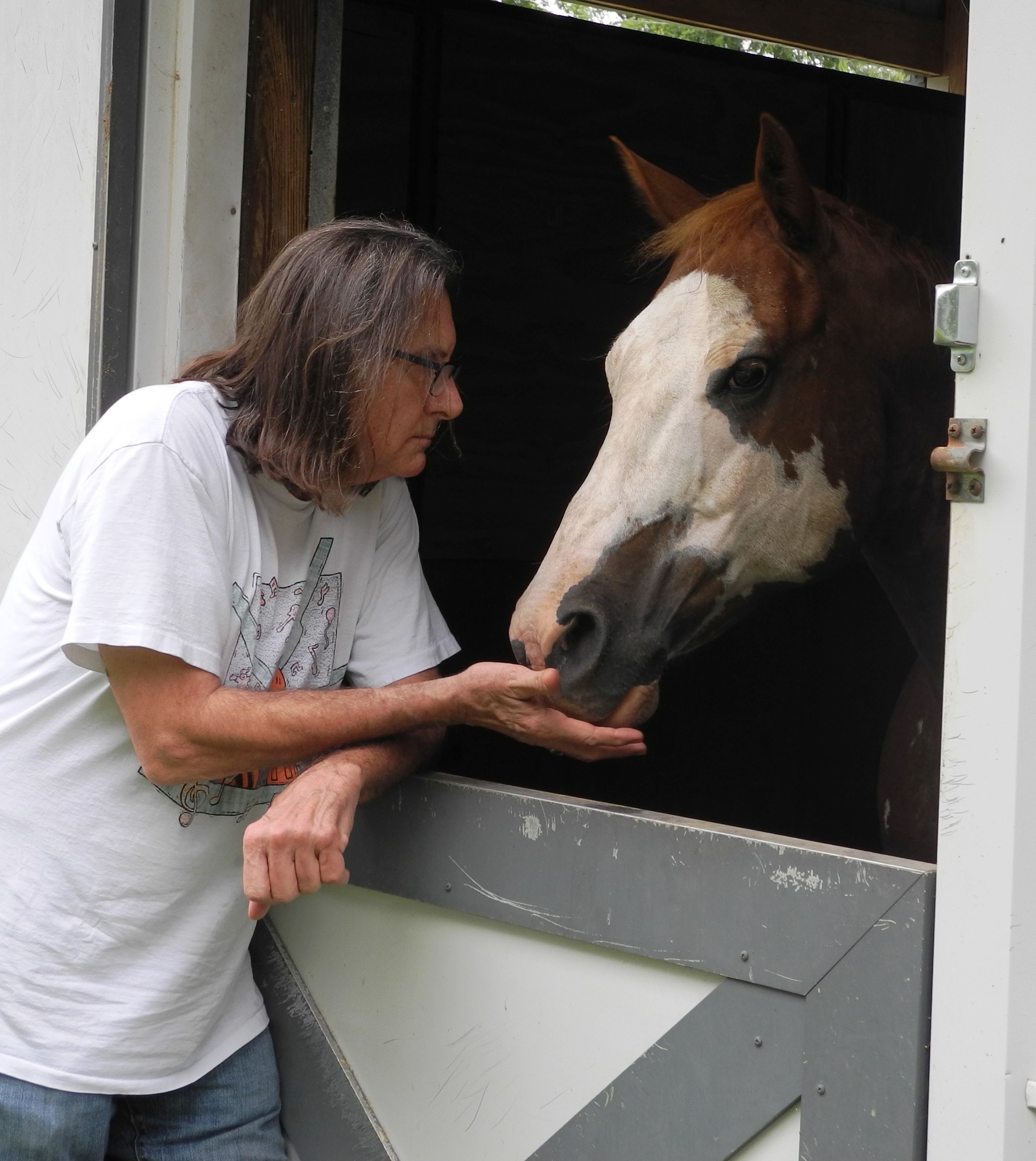 Remy Fund for Pets and Animals Grant Cycle Now Open Community