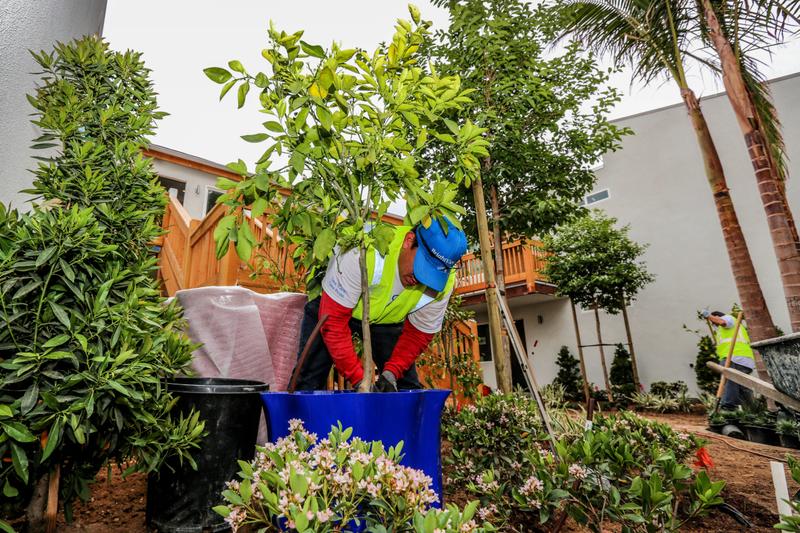 The Future is Bright For BrightView Landscape Services Central