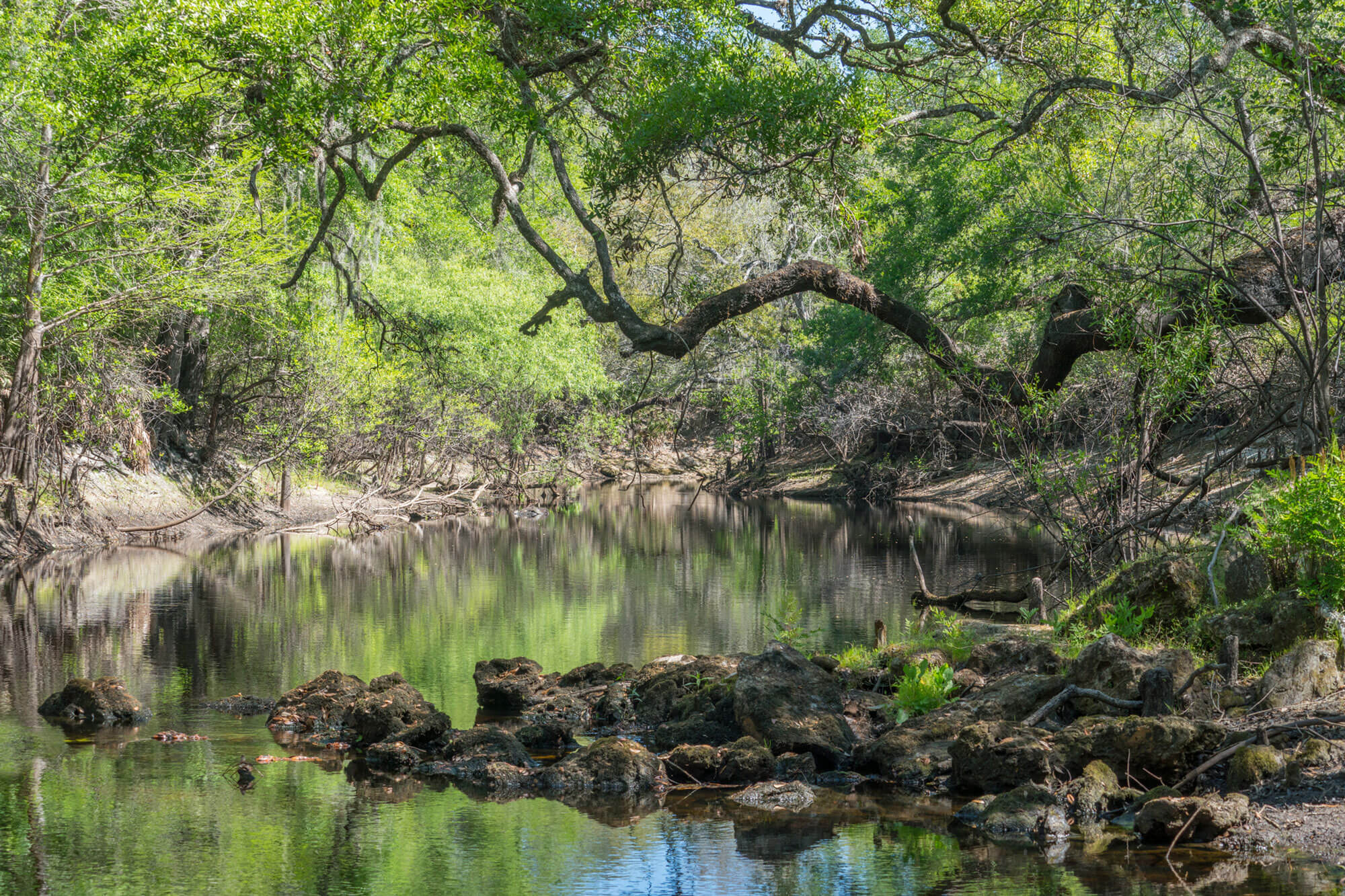 Lake Alfred is Growing but Aims to Keep SmallTown Feel Central