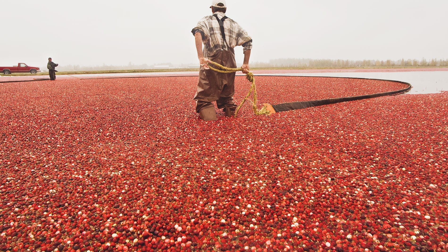 Benefits Canadian Food Exporters Association (CFEA)