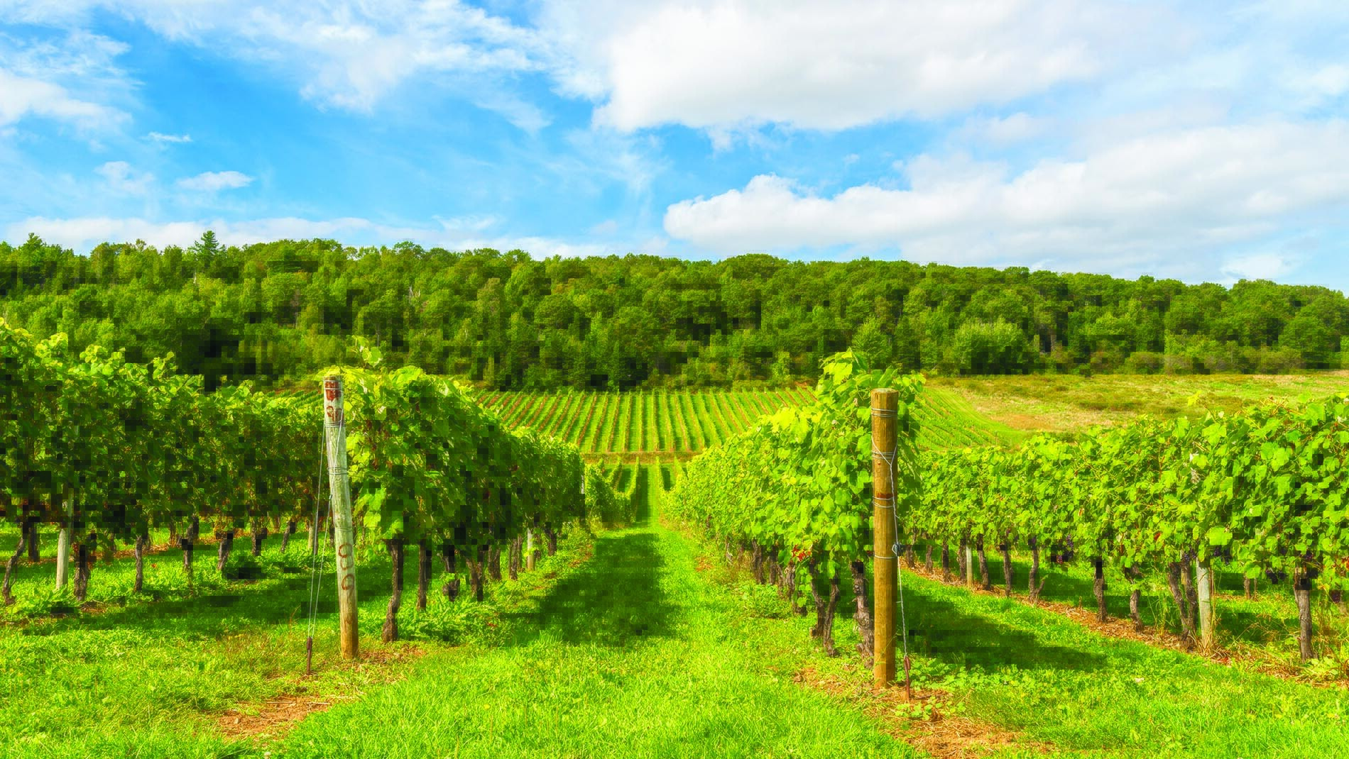 Magazine Canadian Food Exporters Association (CFEA)