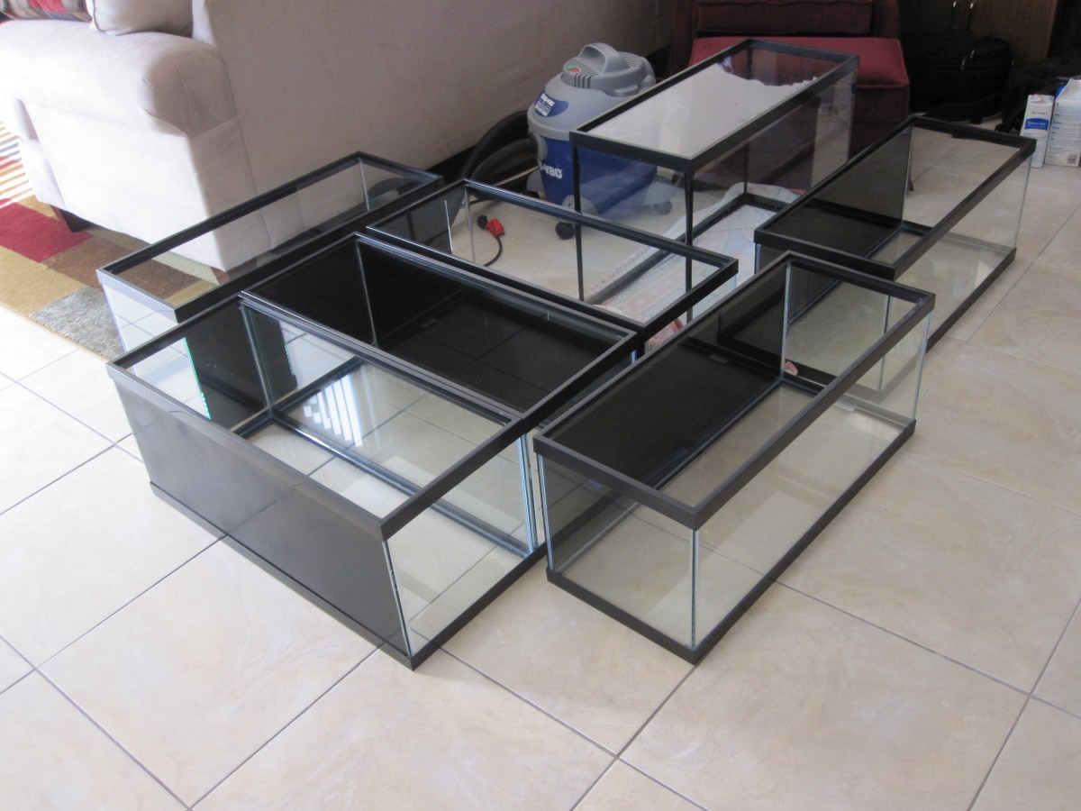 Build your own Rack for Multiple Aquariums CFLAS