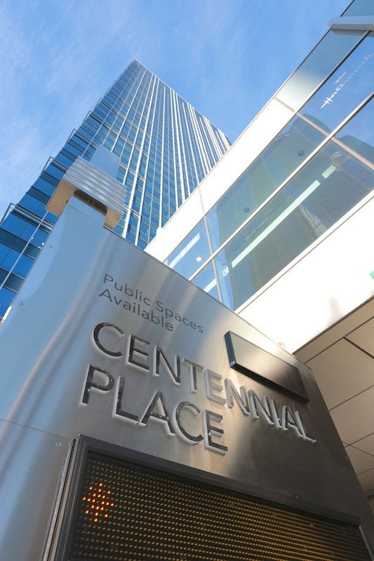 Borden Ladner Gervais CFMS