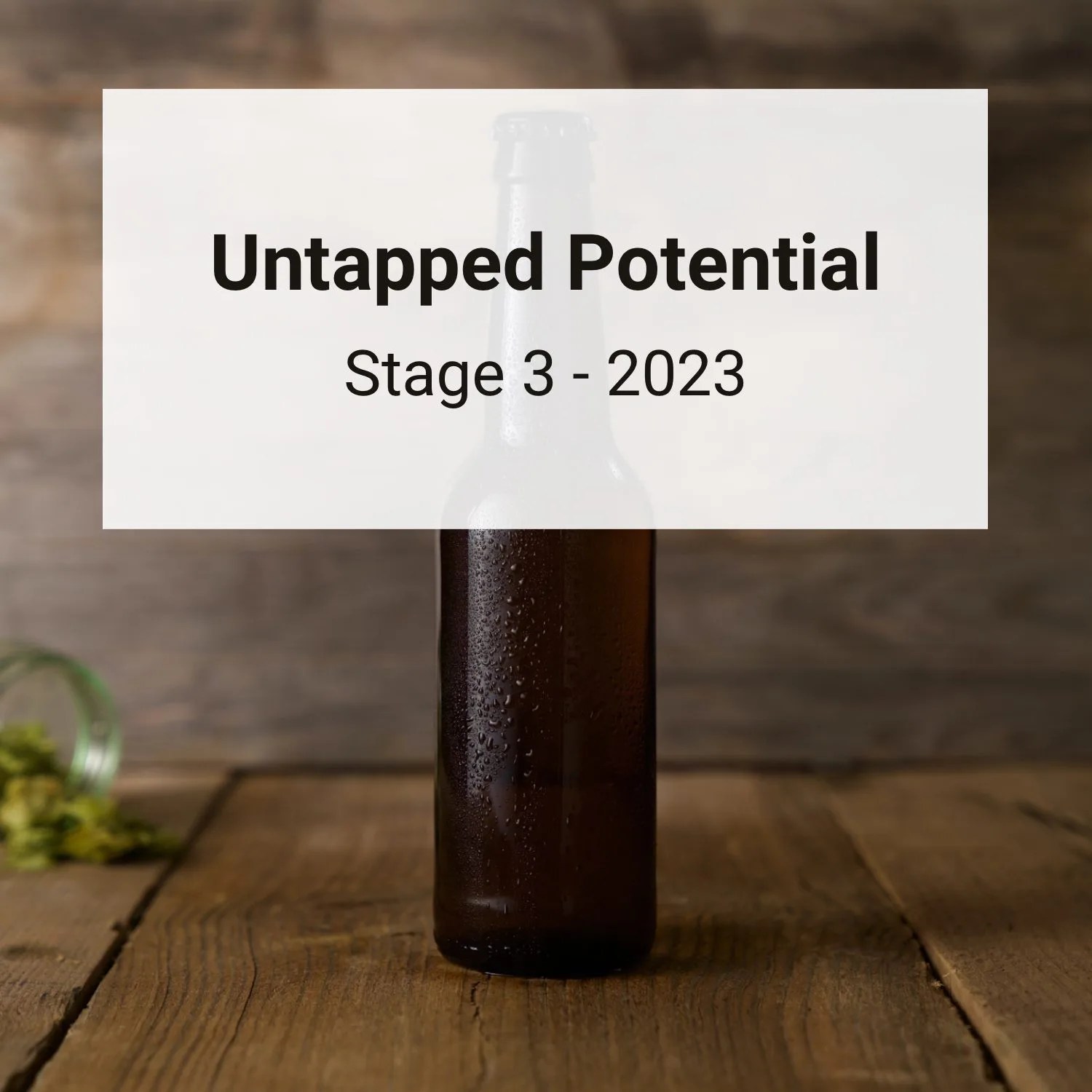 Stage 3 (2023) "Untapped Potential"(03)
