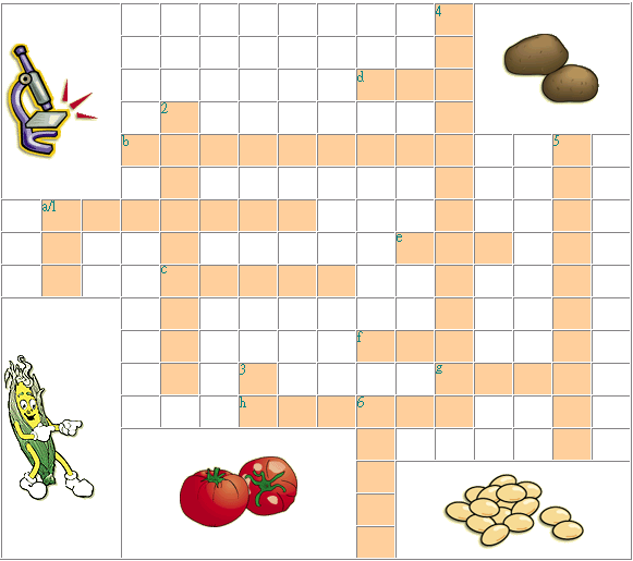 Food Safety Crossword Puzzle Answers crossword maker for kids