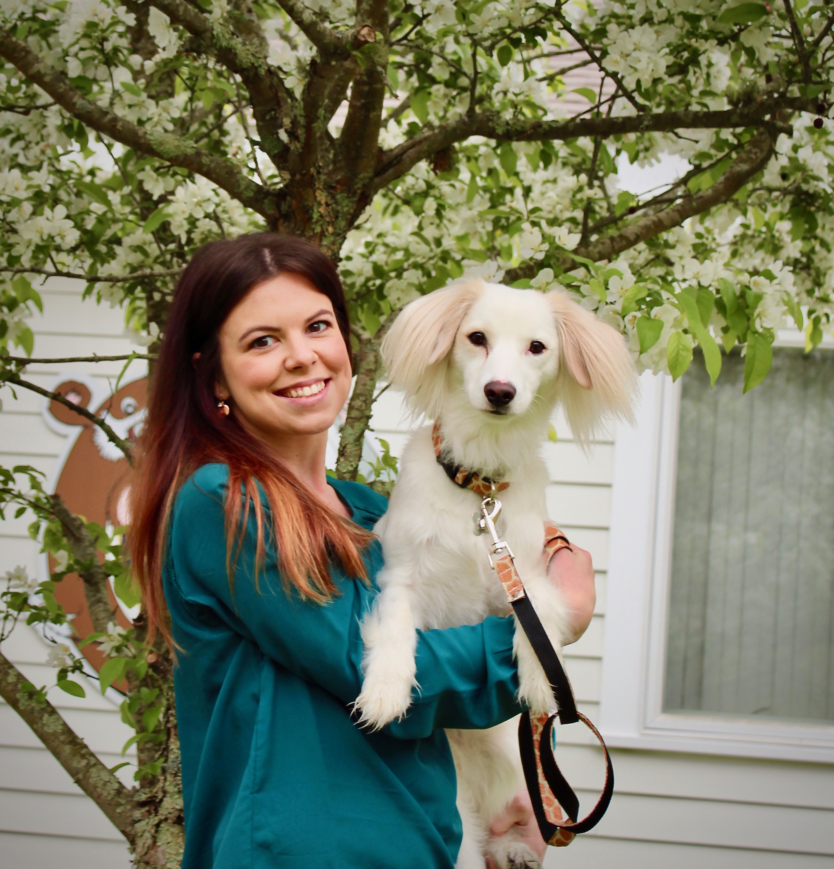 AA Chase Farm Veterinary Hospital