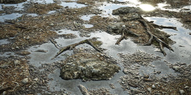 Allegorithmic releases Substance Designer 5.6 CG Channel