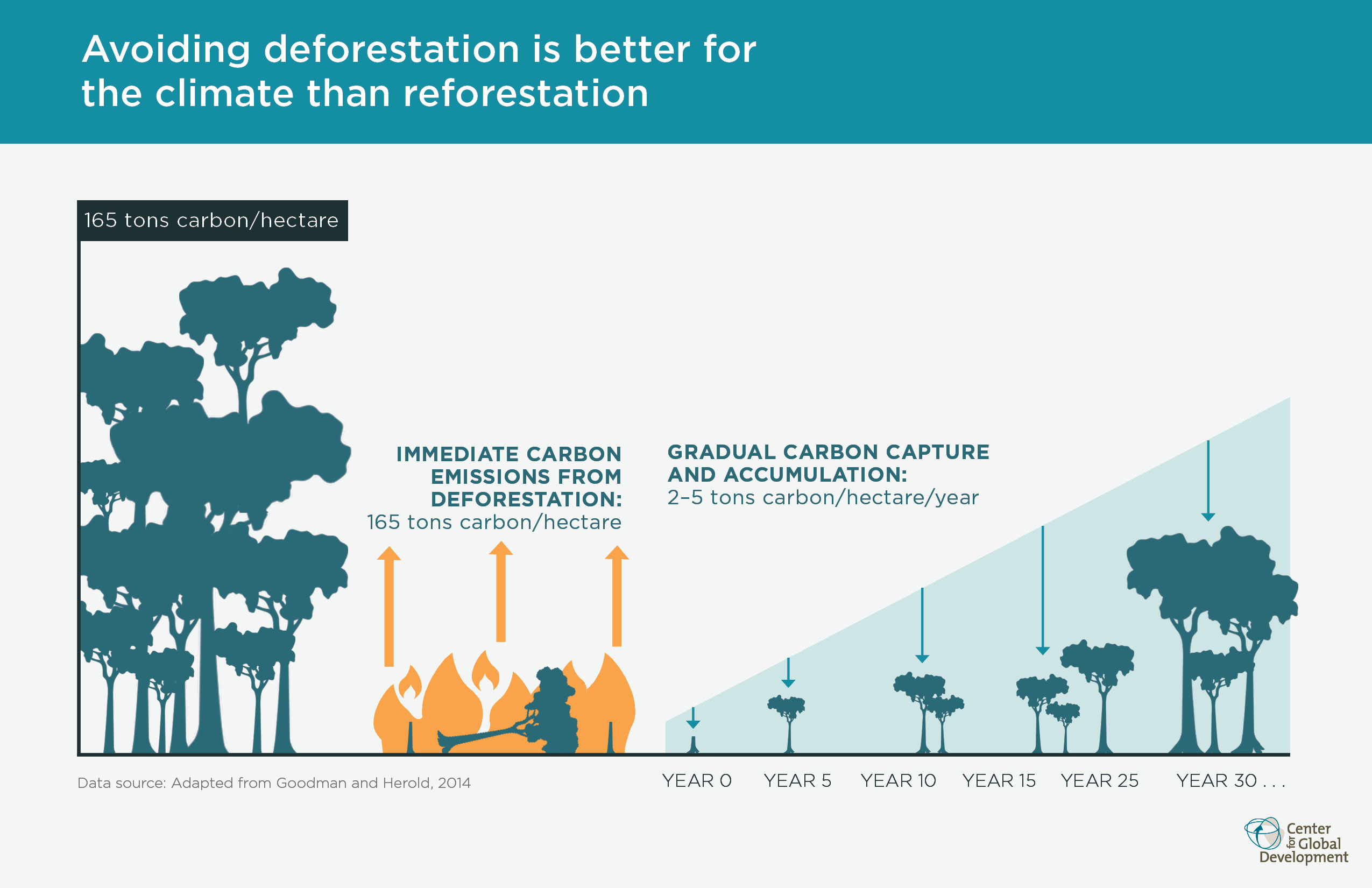 Why Forests? Why Now? A Preview of the Science, Economics, and Politics