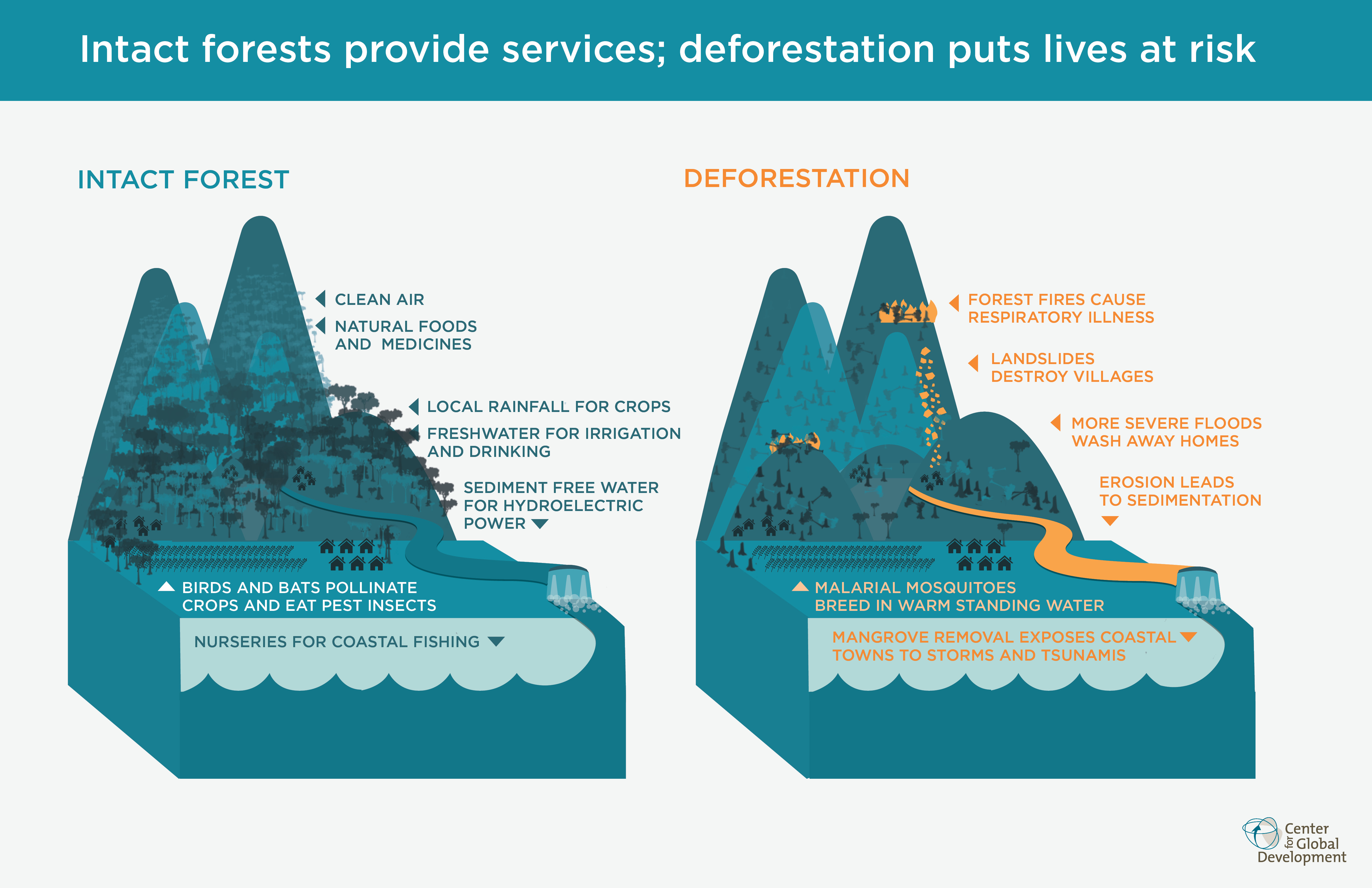 Forests and Poverty Barking Up the Wrong Tree? Center For Global