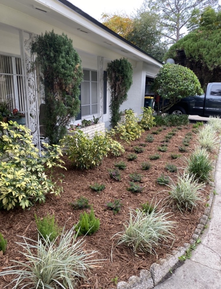 Top 5 Front Yard & Modern Landscaping in Florida Coconut Grove